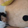 mewisa Altpins Profile Picture