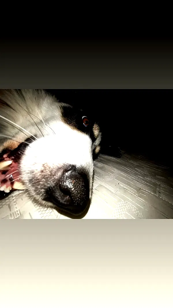 moonyyyya moonyyyya archive image