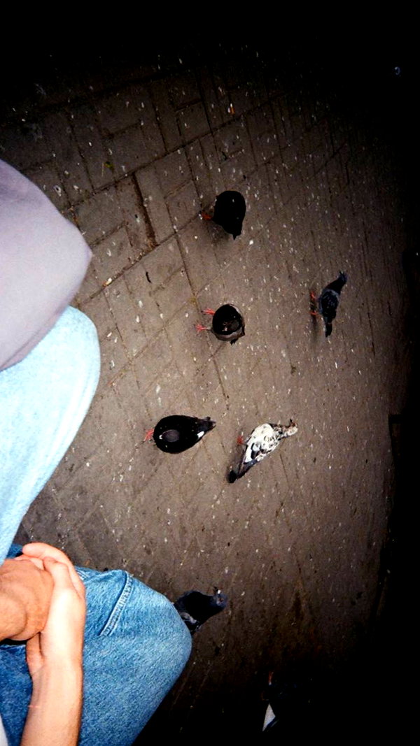 carmexan instagram image archive image