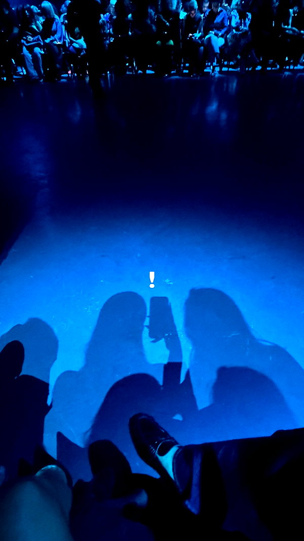 tirtza_cohen instagram image archive image