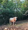 amit._.bar Altpins Profile Picture