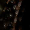 macaroni_naomi Altpins Profile Picture