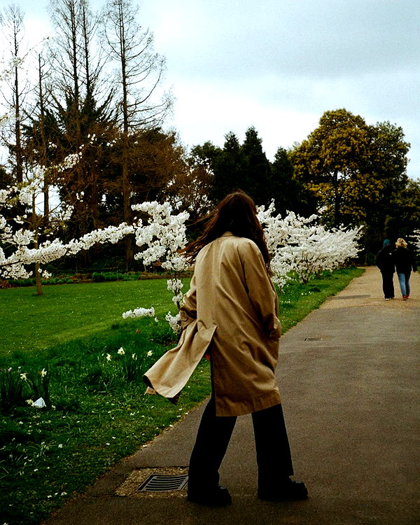 ccbaum instagram image archive image