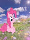 charleygrayyy Altpins Profile Picture