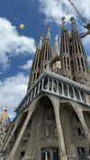 michal_cohen017 Altpins Profile Picture