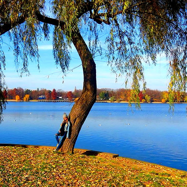 barzomer instagram image archive image