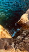 annabottoo Altpins Profile Picture