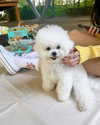 dear.zia Altpins Profile Picture