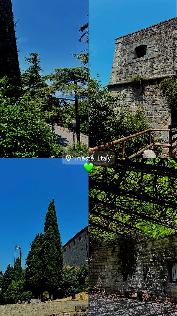 ancideja instagram image archive image