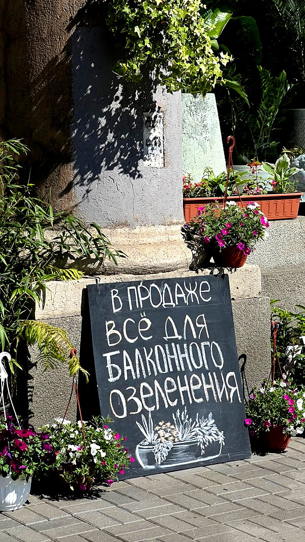 veroni22ka veroni22ka archive image