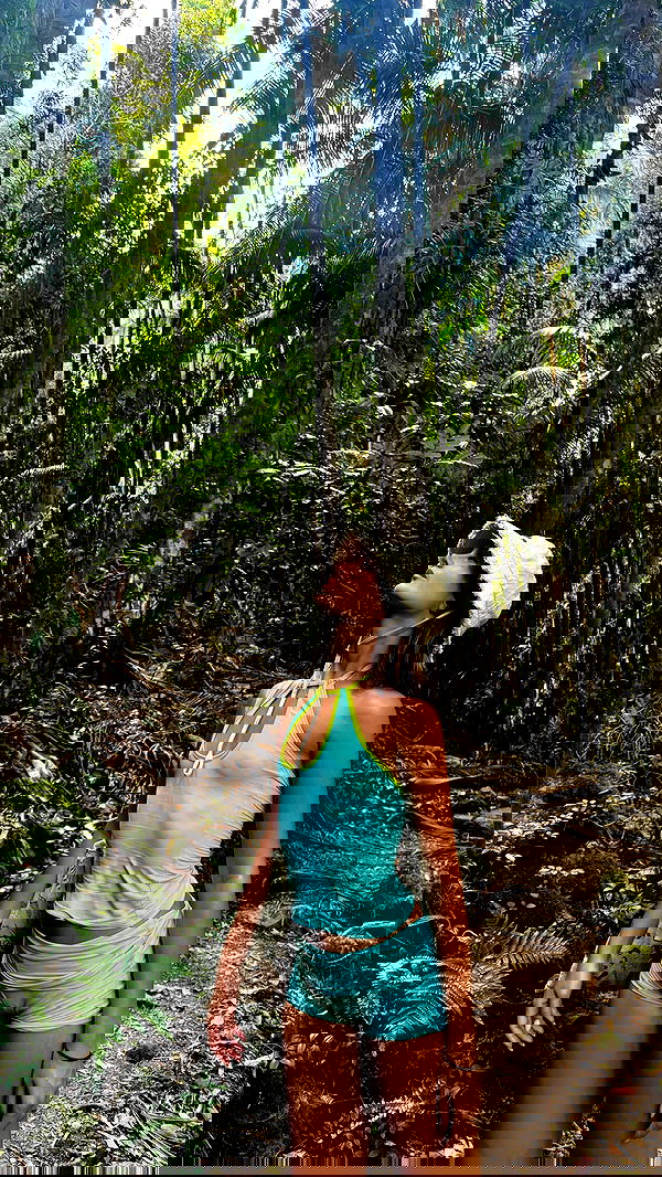 taylor.creeden taylor.creeden archive image