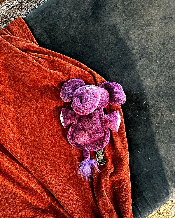 alexandradaddario instagram image archive image