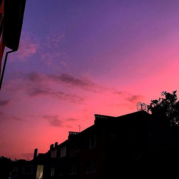 alishevs instagram image archive image