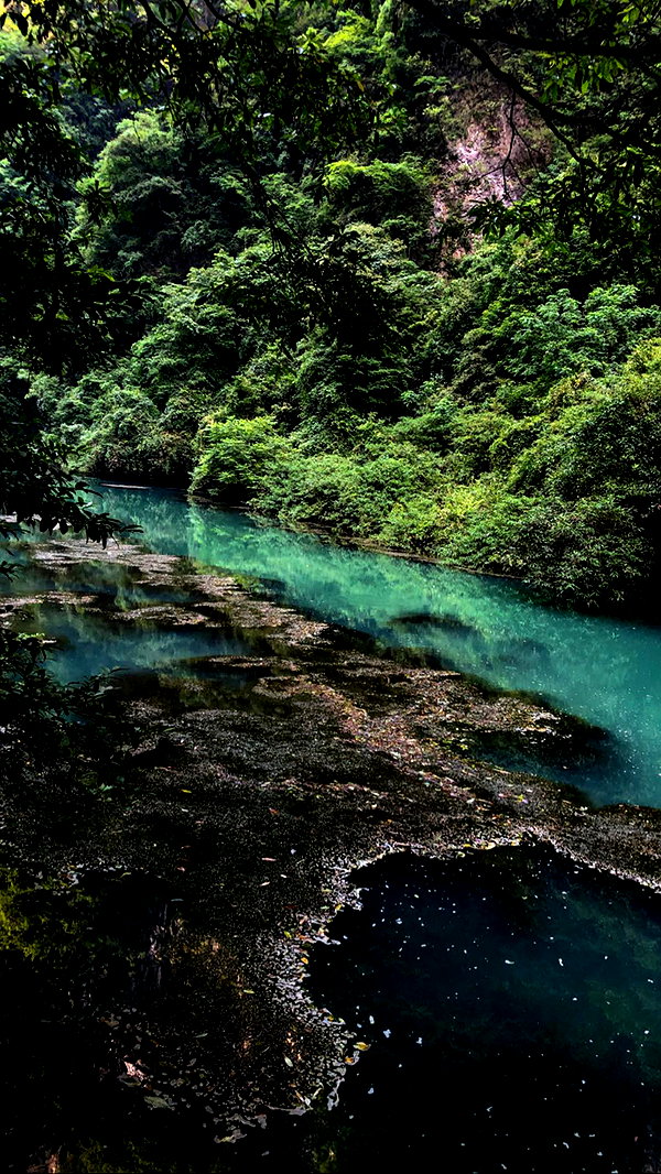 nikoleta.milenova instagram image archive image