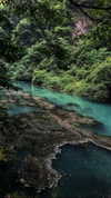 nikoleta.milenova Altpins Profile Picture