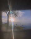 alisen.mari Altpins Profile Picture