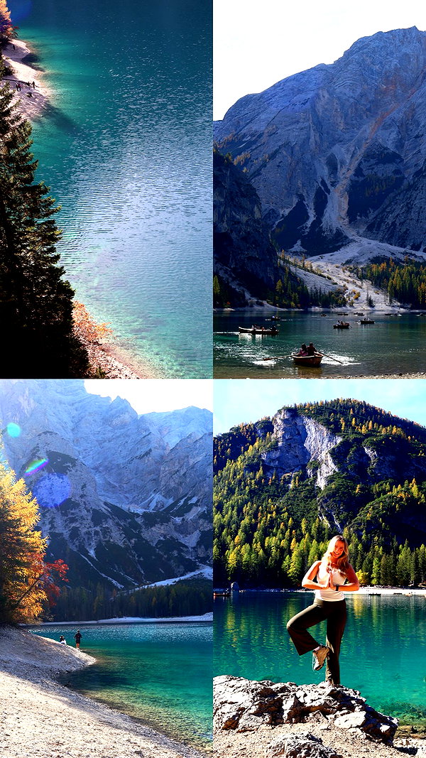 shakeddri instagram image archive image