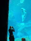 cyber.st4rz Altpins Profile Picture