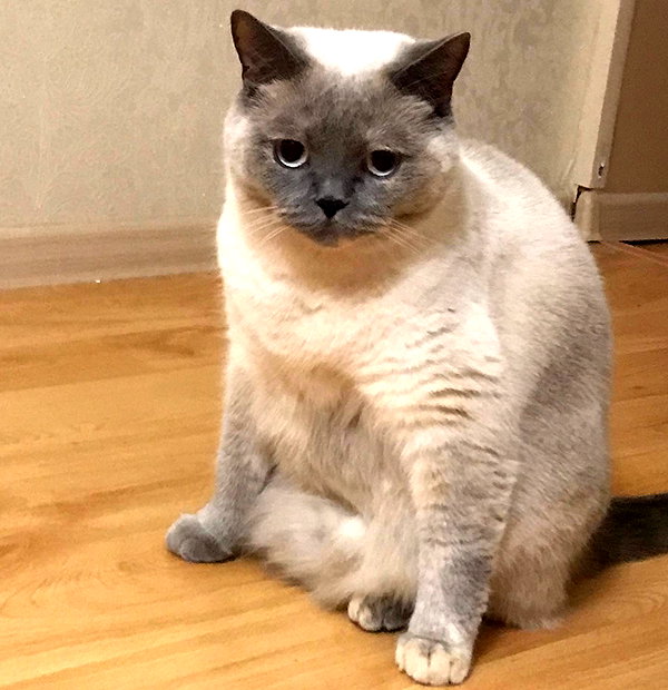 owlydiaa instagram image archive image