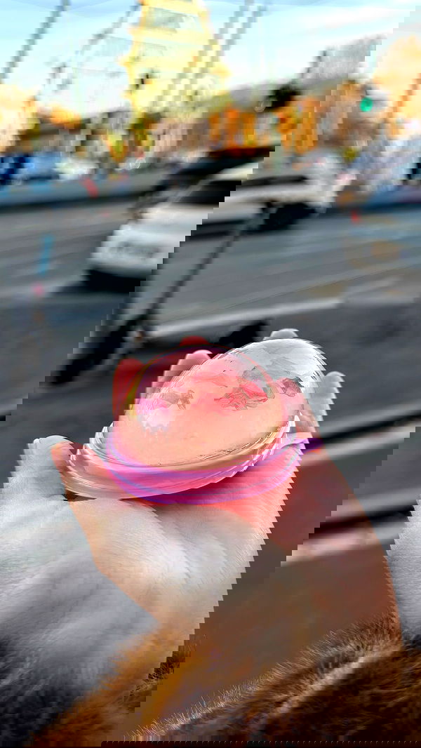 kasumi_sen kasumi_sen archive image