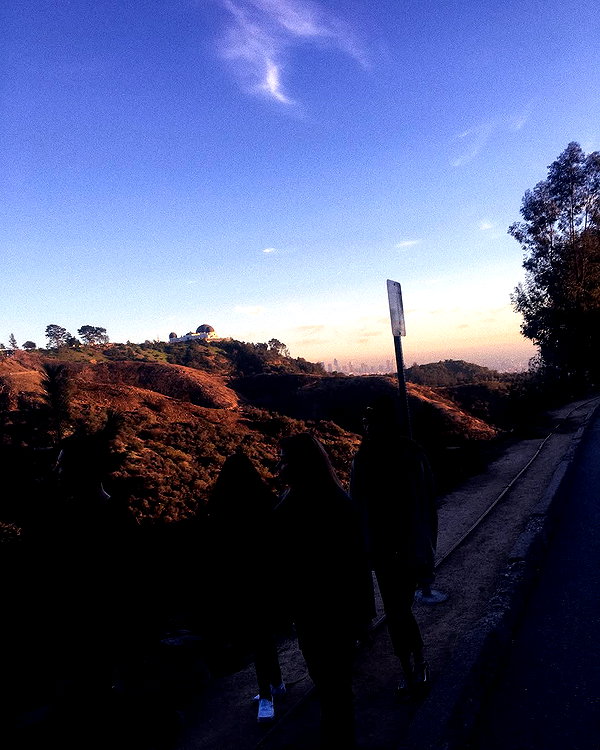 haileylayfield instagram image archive image