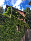 elizabethcampbelljones Altpins Profile Picture