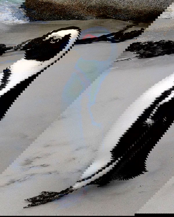 taylor.creeden taylor.creeden archive image