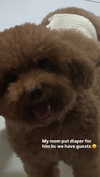 kteaworld Altpins Profile Picture