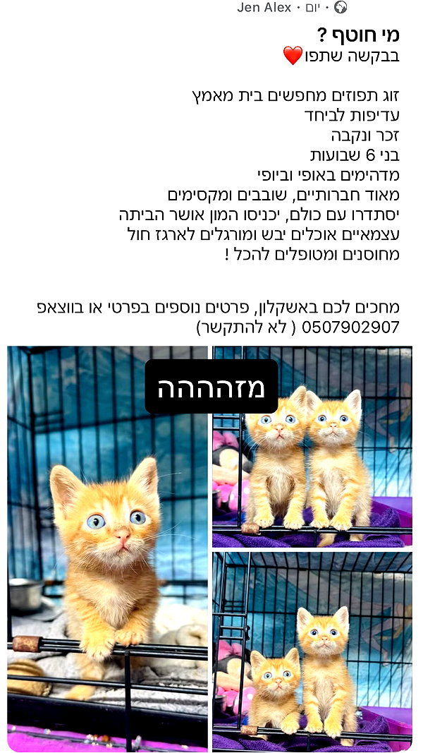 mishel116 instagram image archive image