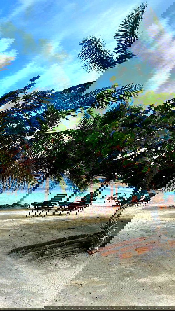 manjolamuriqi manjolamuriqi archive image