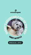 gabbyepstein Altpins Profile Picture