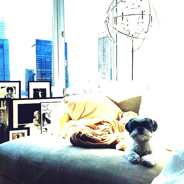 ashleybenson instagram image archive image