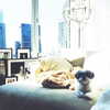 ashleybenson Altpins Profile Picture