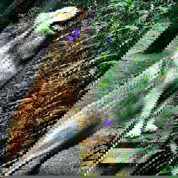 missnyxdawn missnyxdawn archive image