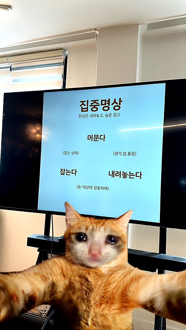 Archived image from @isuuusuuu on Instagram