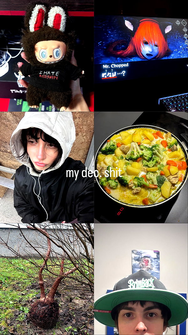 dwpolin instagram image archive image