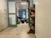 lil_sapir Altpins Profile Picture