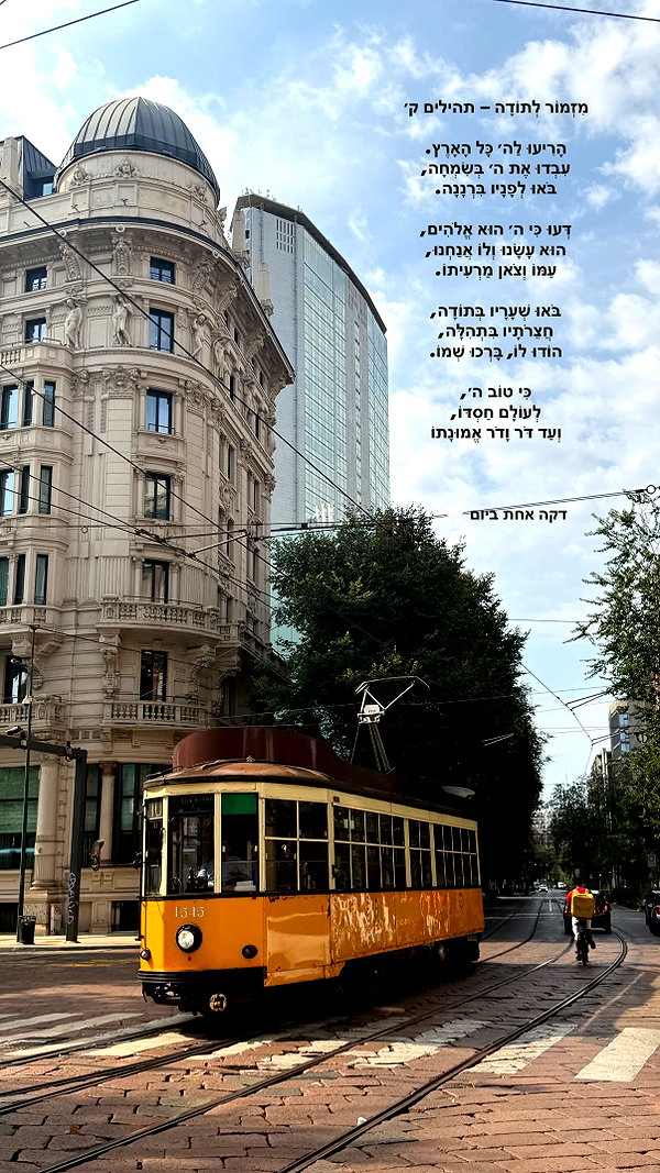 tirtza_cohen archive image