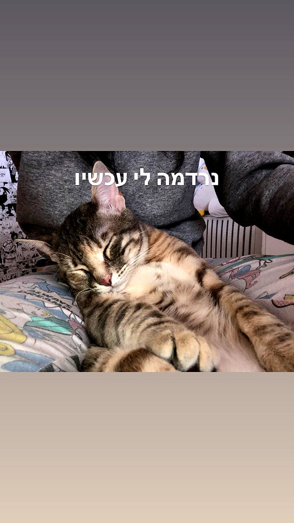 Archived image from @notchicore on Instagram