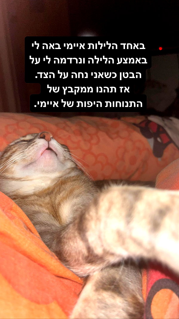 Archived image from @notchicore on Instagram