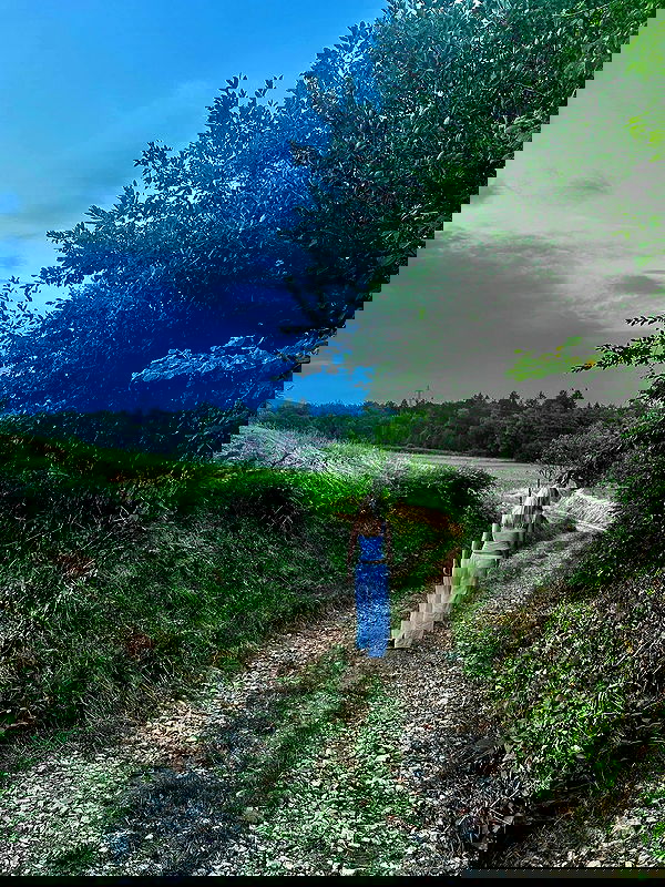 ellamwatts_ ellamwatts_ archive image