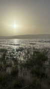 eva.6stuma.com6 Altpins Profile Picture