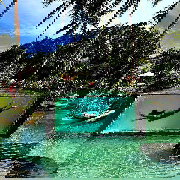 paigeinsco paigeinsco archive image