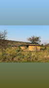 martinagiiuliani Altpins Profile Picture