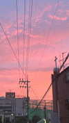 eliya.ho Altpins Profile Picture