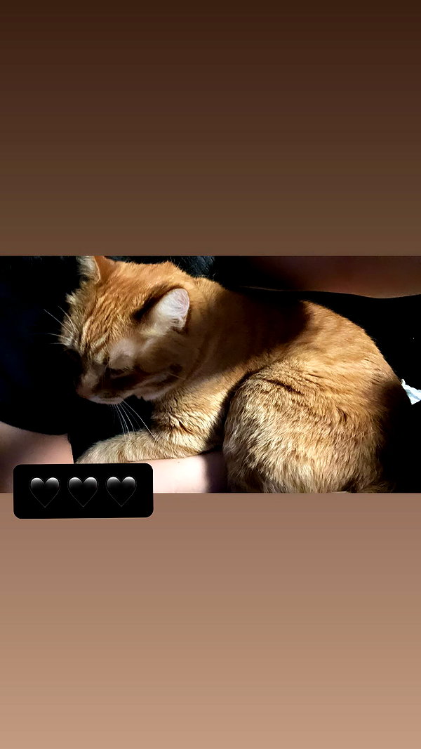 butter.on.a.poptart69 instagram image archive image