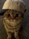 ellaexplicit_ Altpins Profile Picture