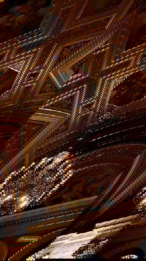 talia_davidov talia_davidov archive image