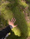 f4iryybl00d Altpins Profile Picture