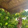 amit._.bar Altpins Profile Picture